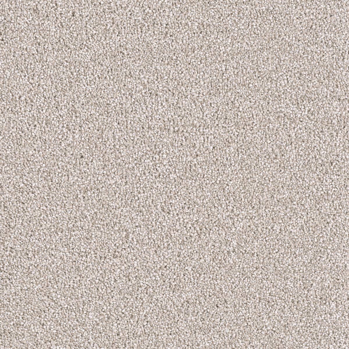 East Hampton Parchment