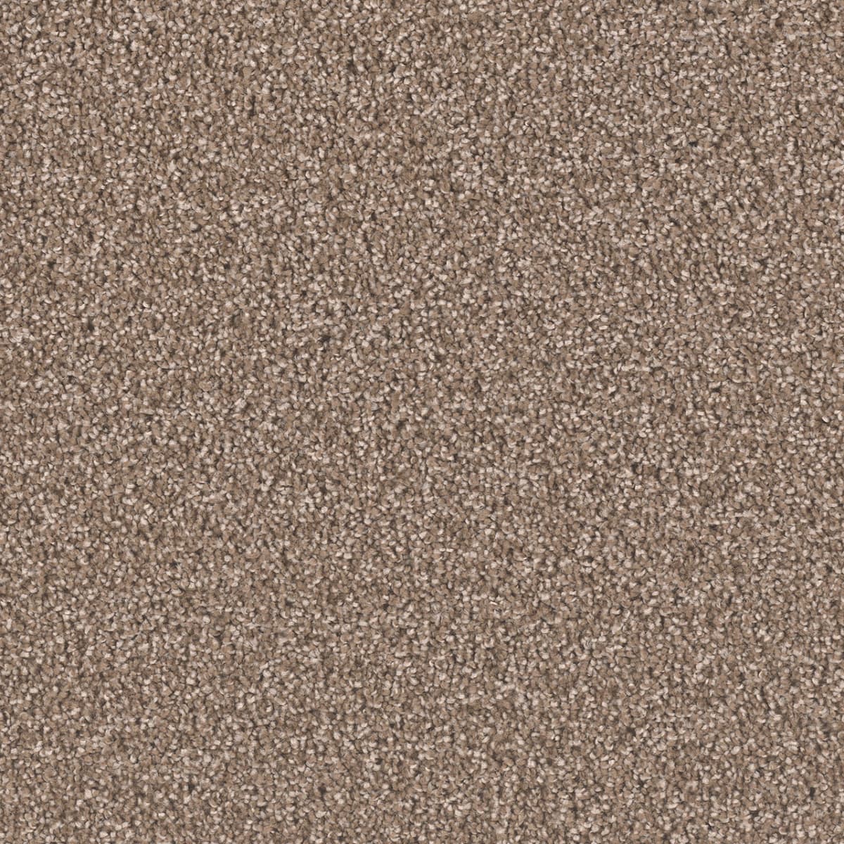 Exceptional II Tumbleweed