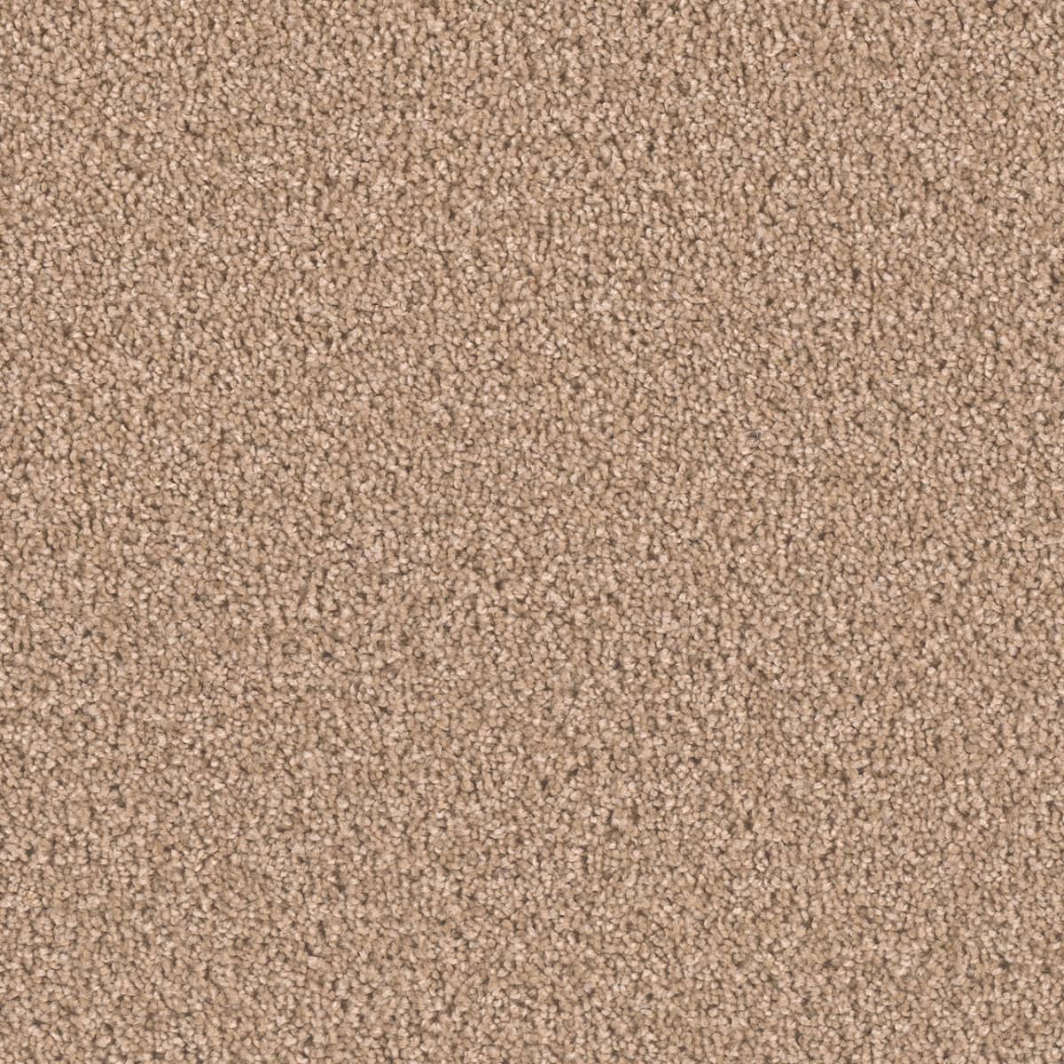 Exceptional II Buff Exceptional II flooring