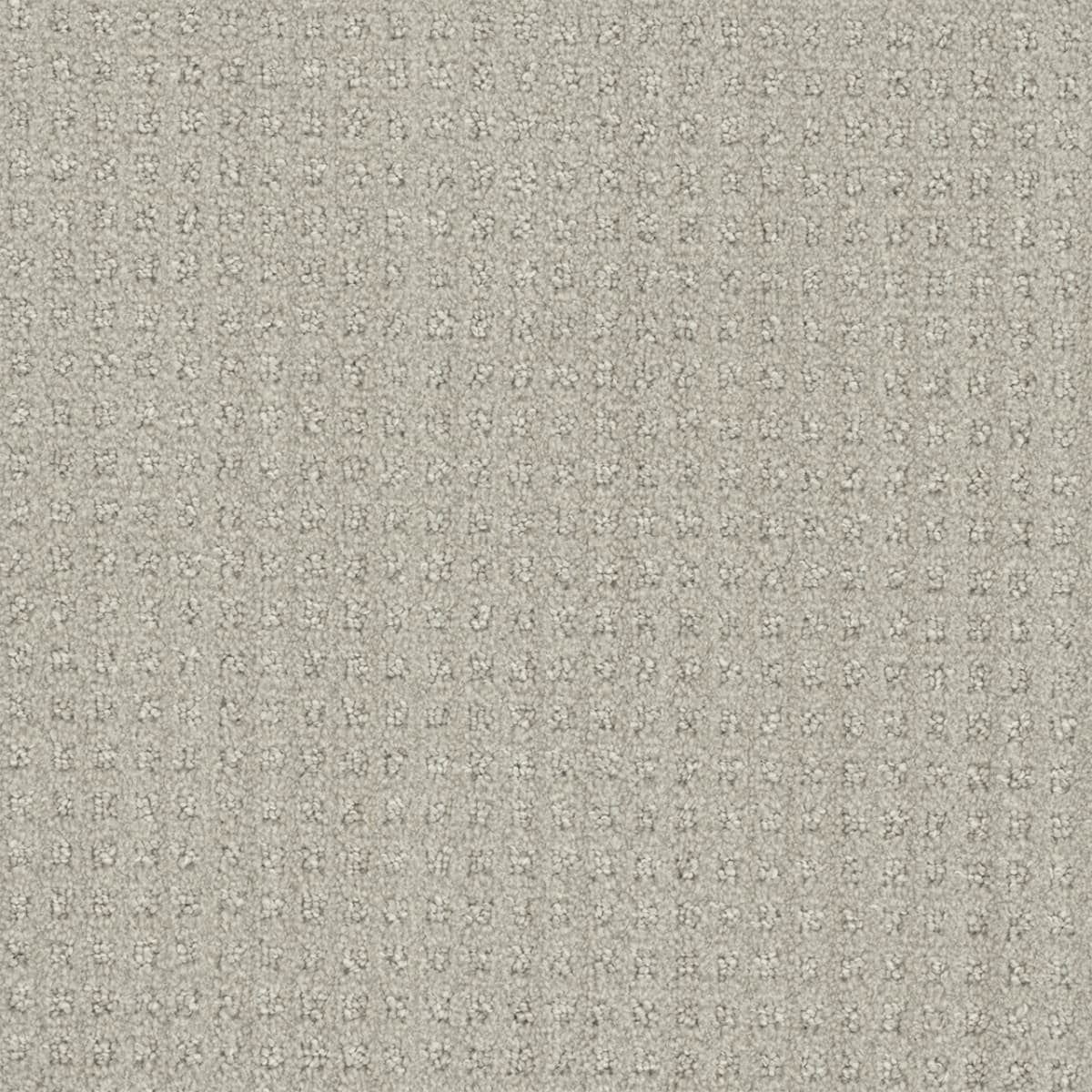 Dublin Stone Spinning Dublin Collection Carpet flooring