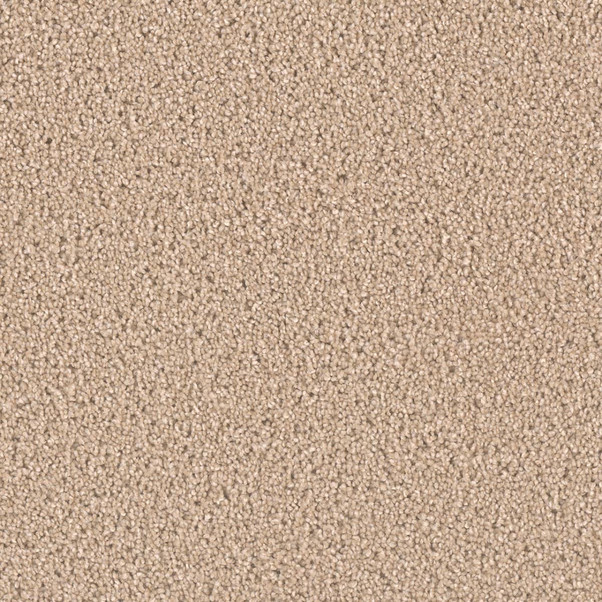 Exceptional II Cashmere