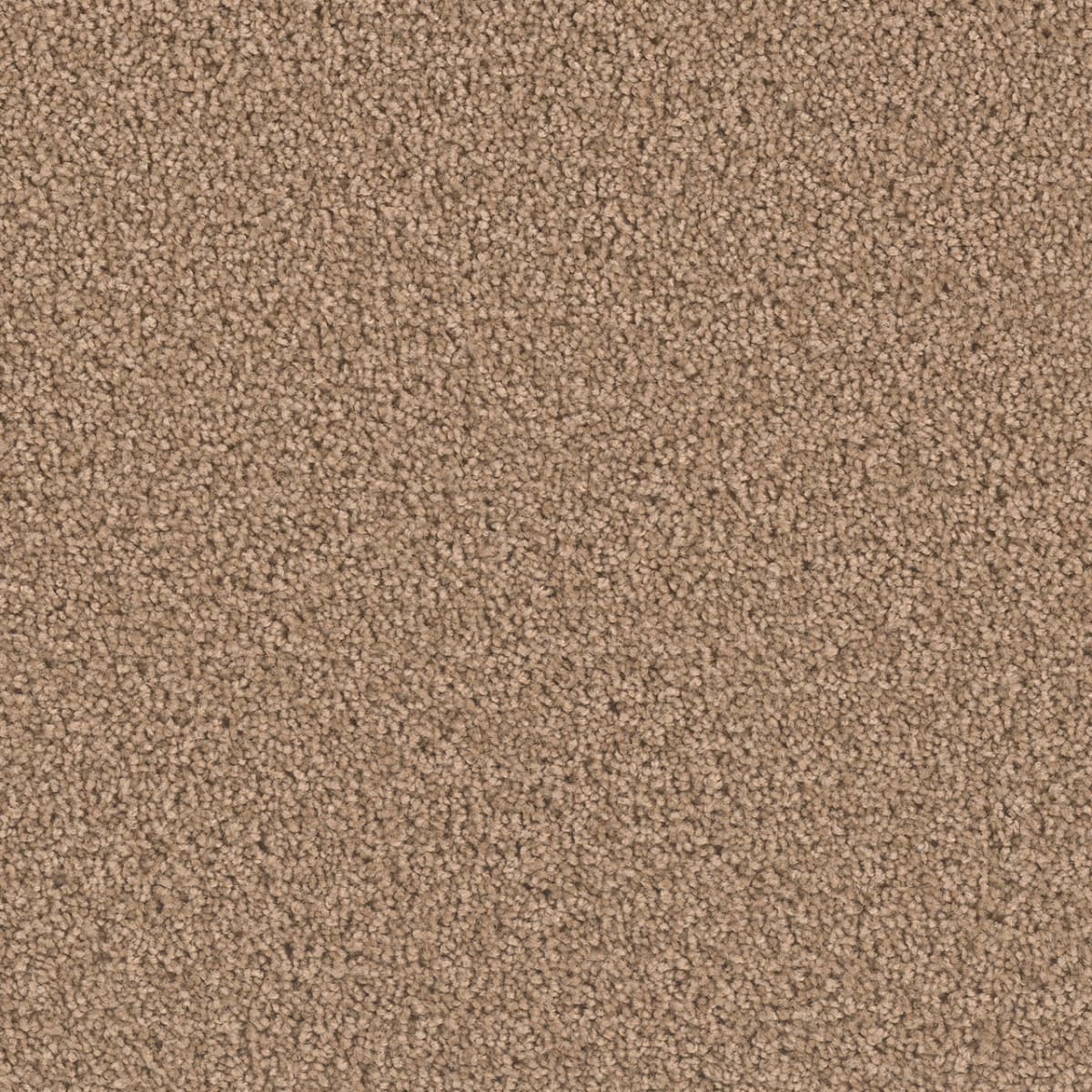Exceptional II Sable