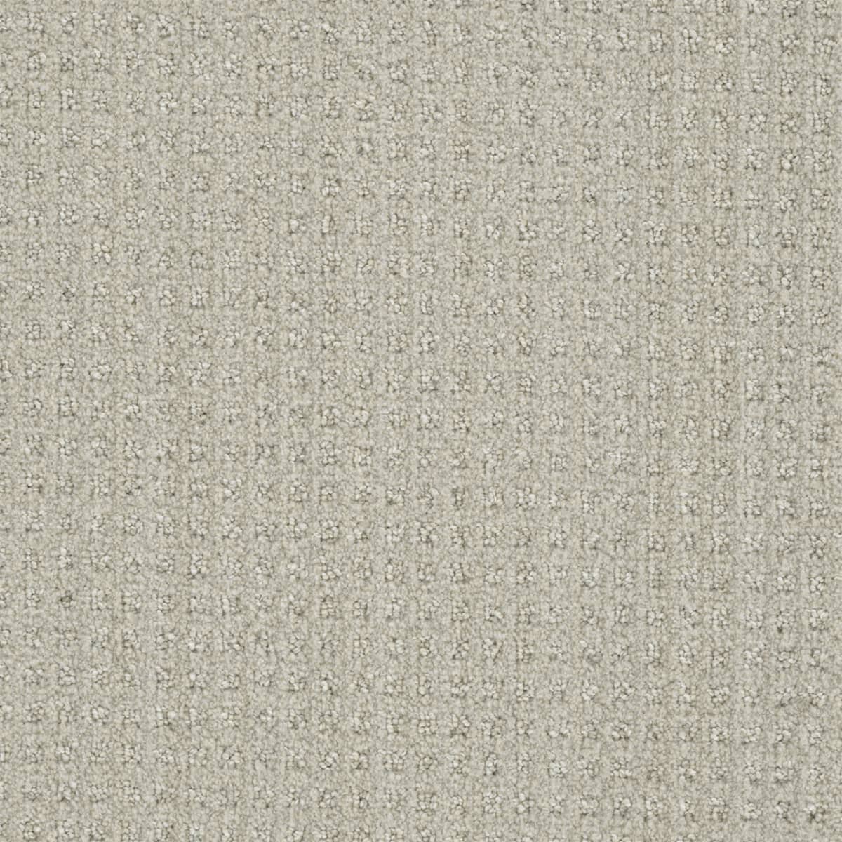 Dublin Merino Dublin Collection Carpet flooring