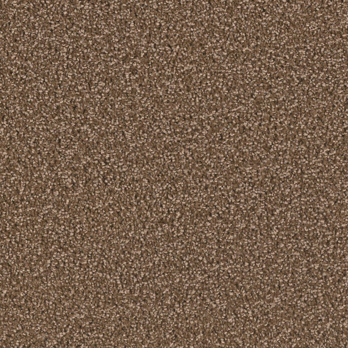 Exceptional II Black Walnut