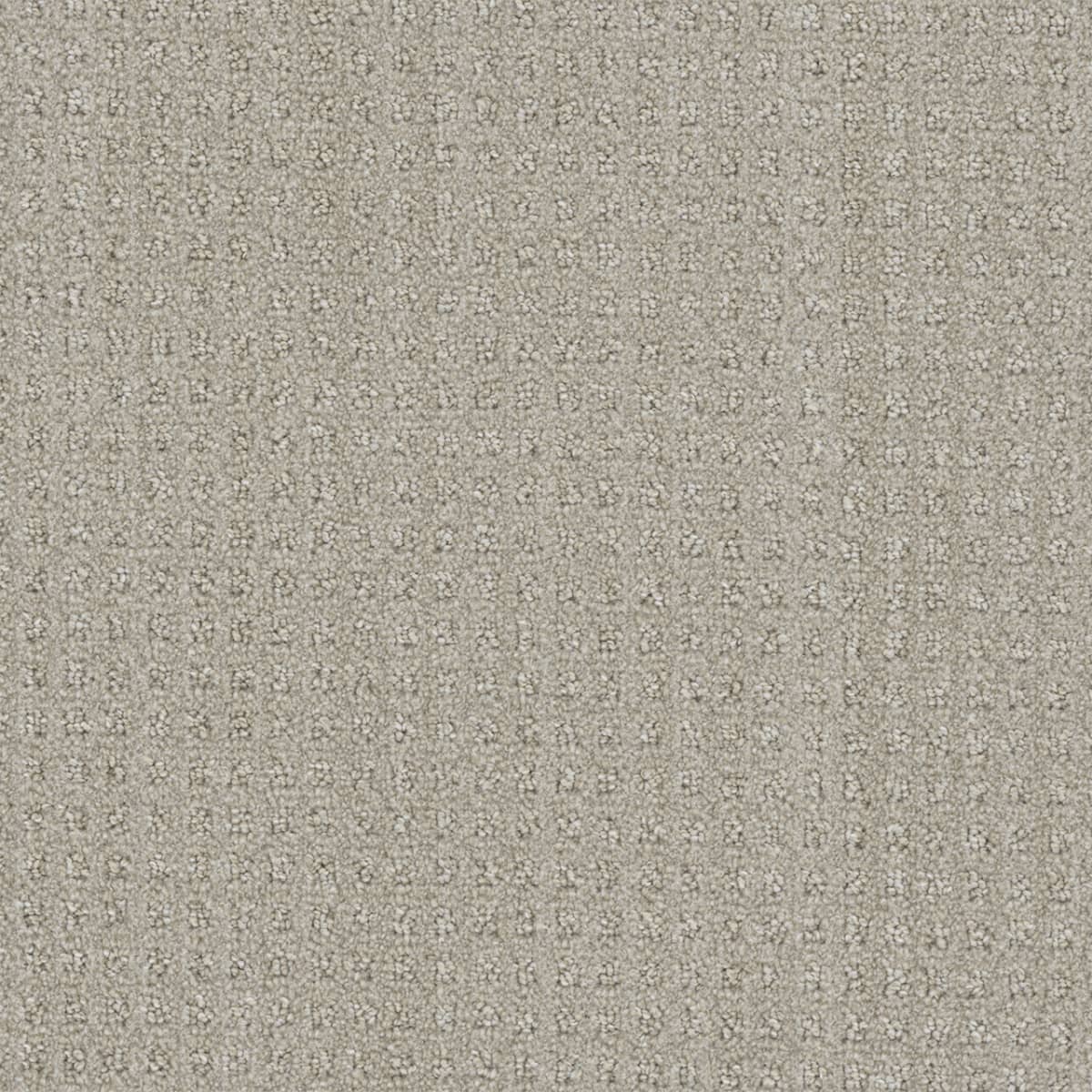 Dublin Collection Carpet flooring collection