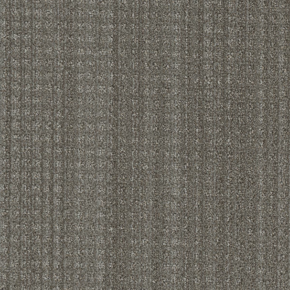 Dublin Donegal Dublin Collection Carpet flooring