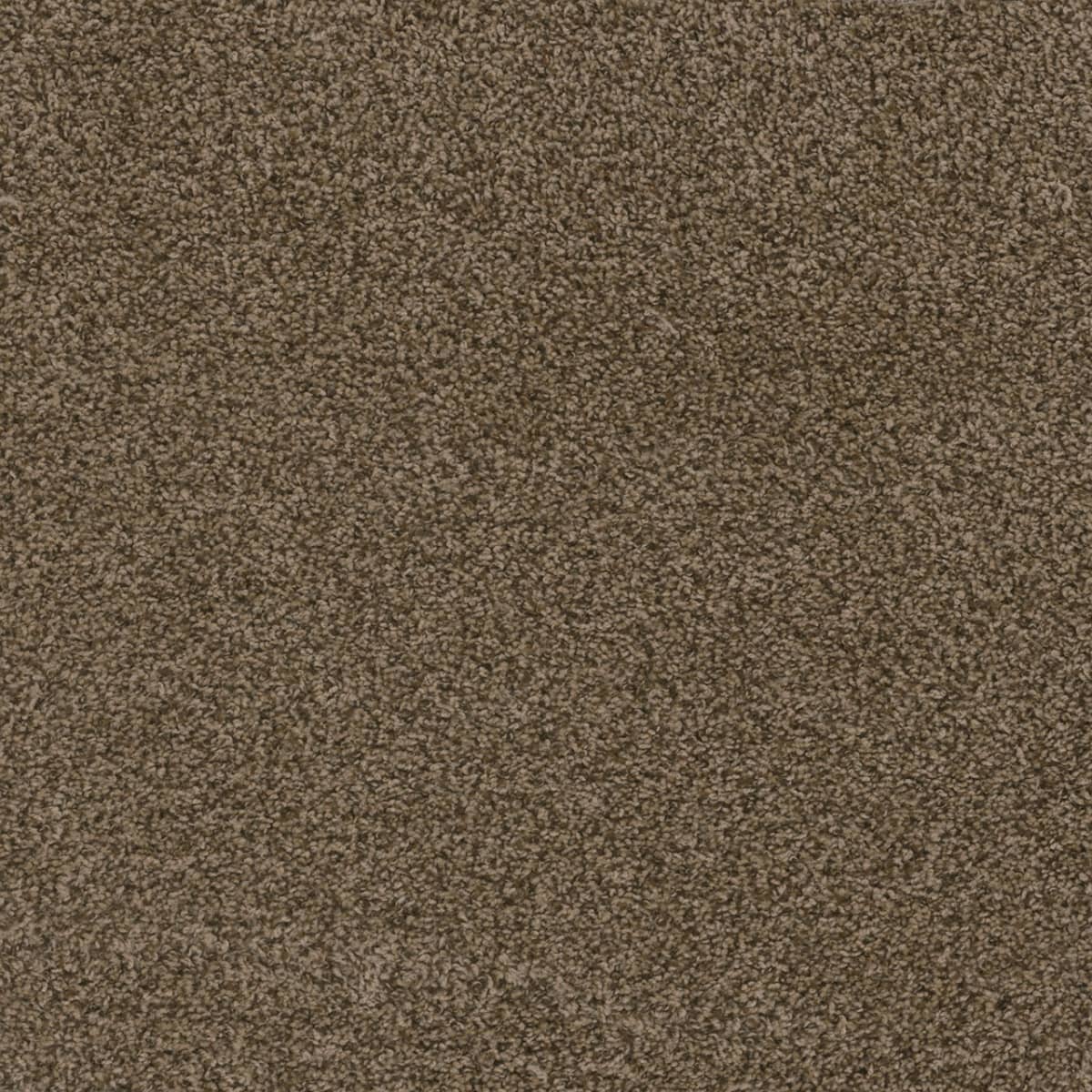 Hot Pursuit Bronzite