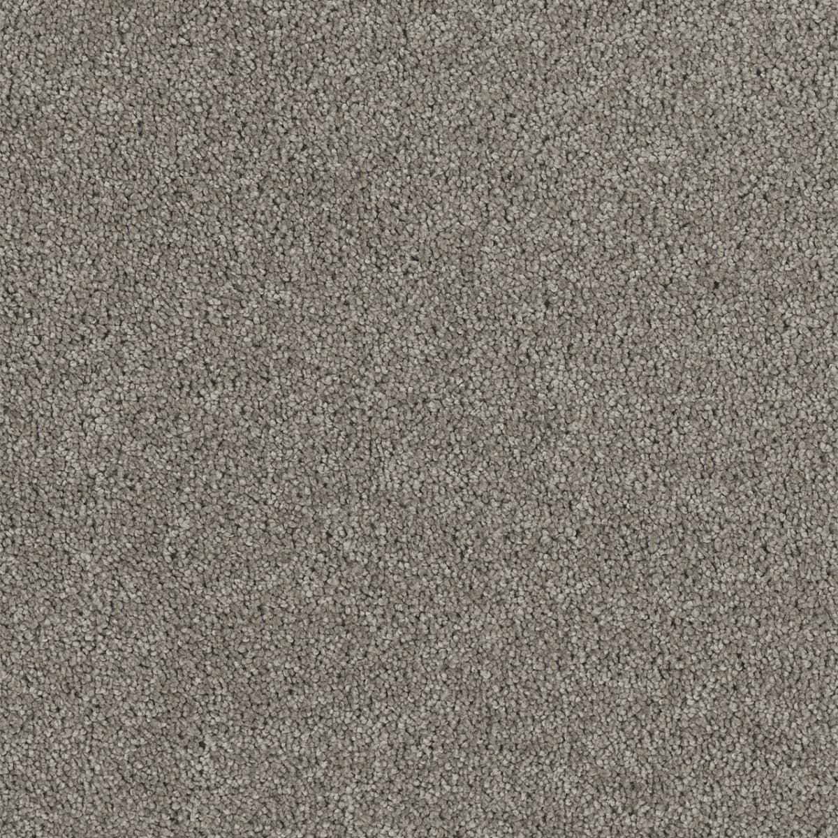 Hollywood Dark Platinum