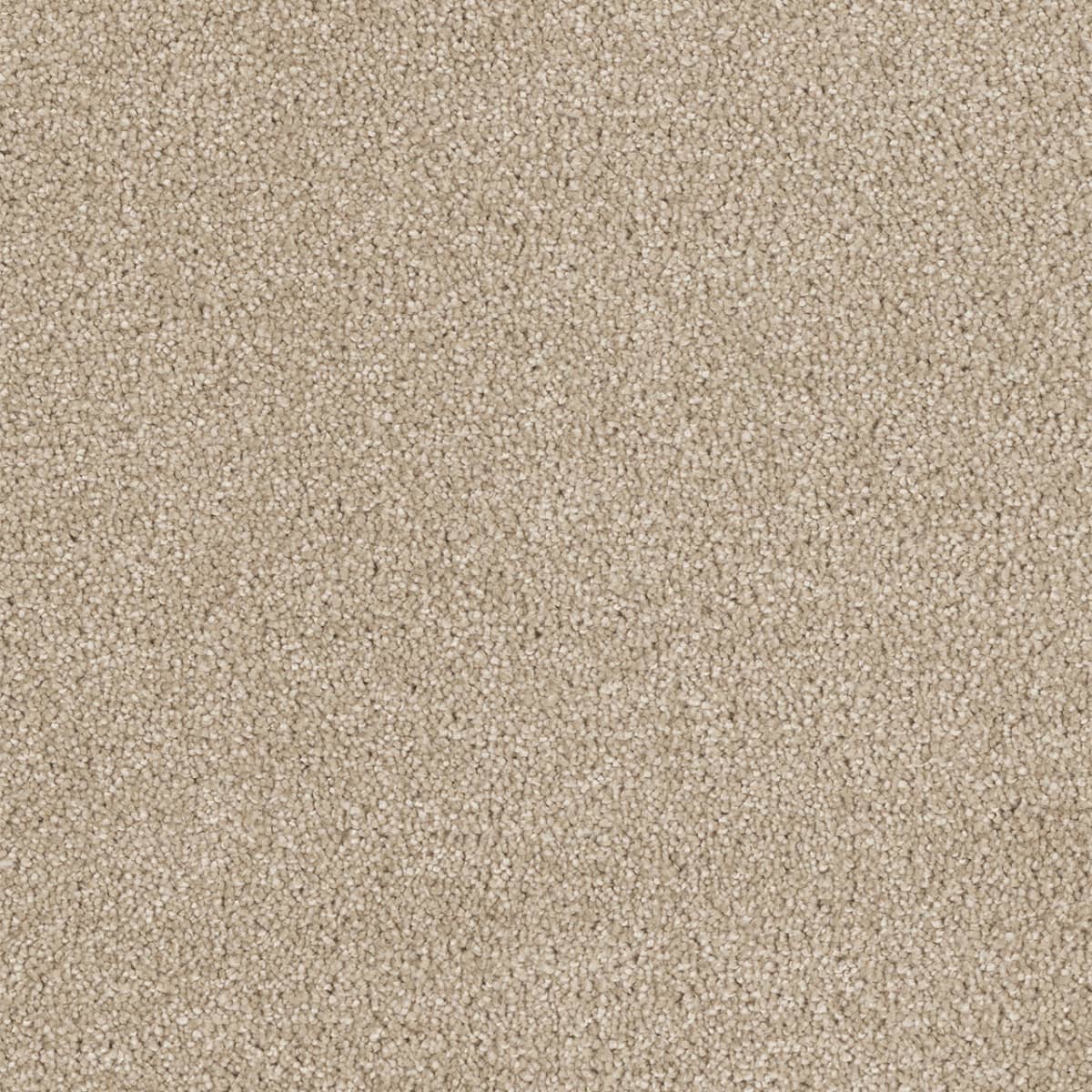 Hollywood Cashmere