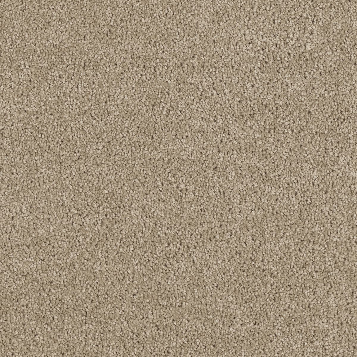 Hollywood Warm Teak