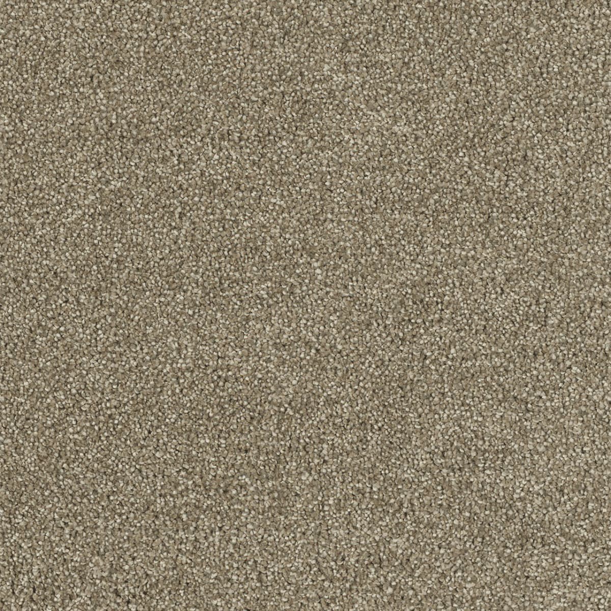 Hollywood Sienna Sand