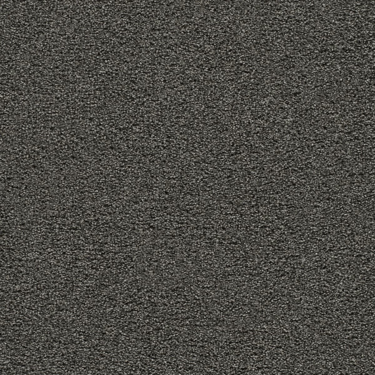 Gold Standard III Onyx