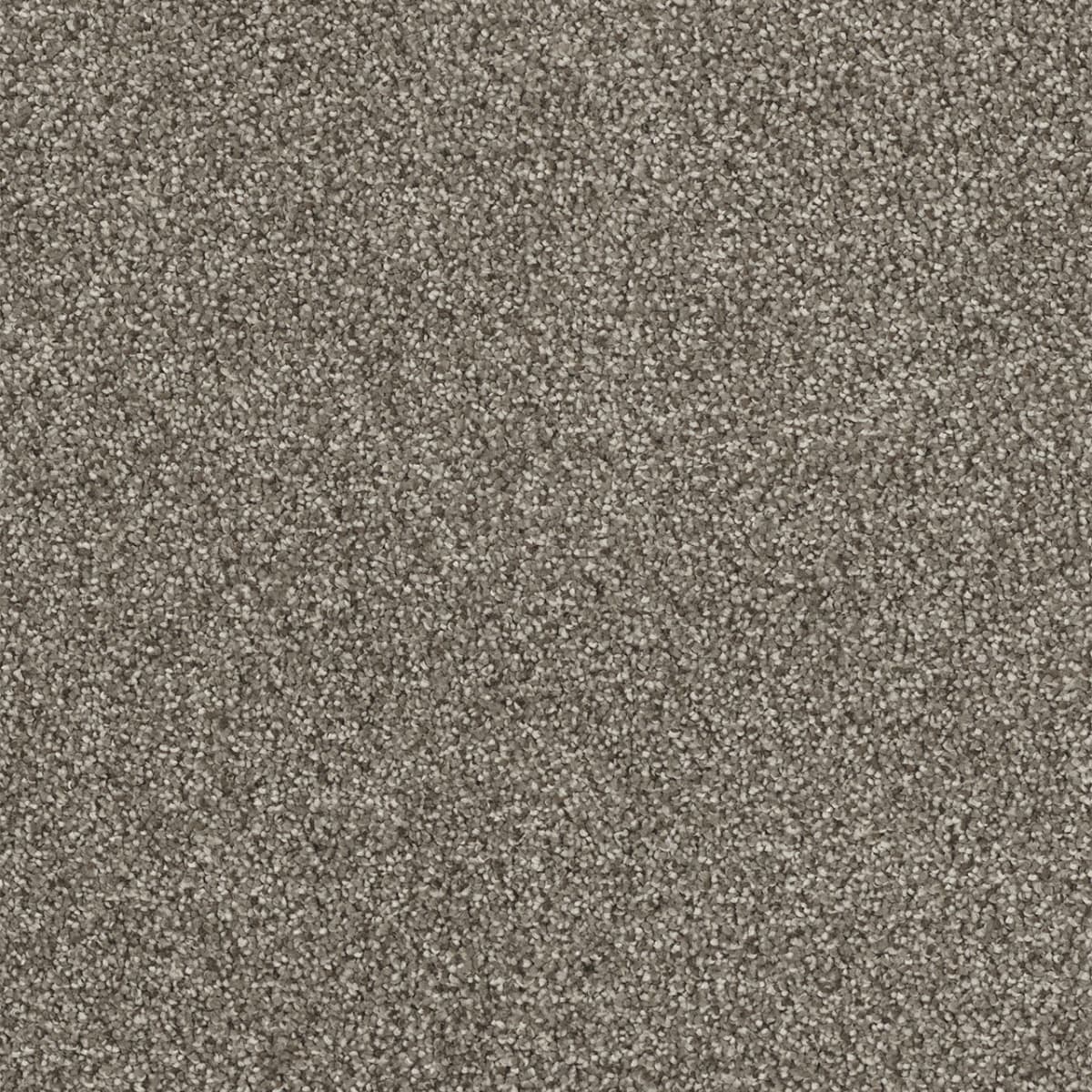 Hollywood Baltic Birch