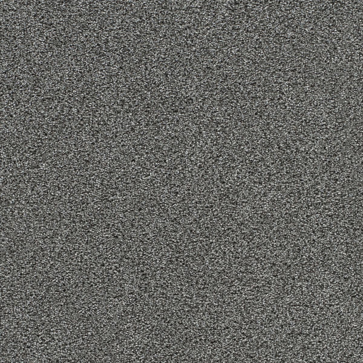 Gold Standard III Mica