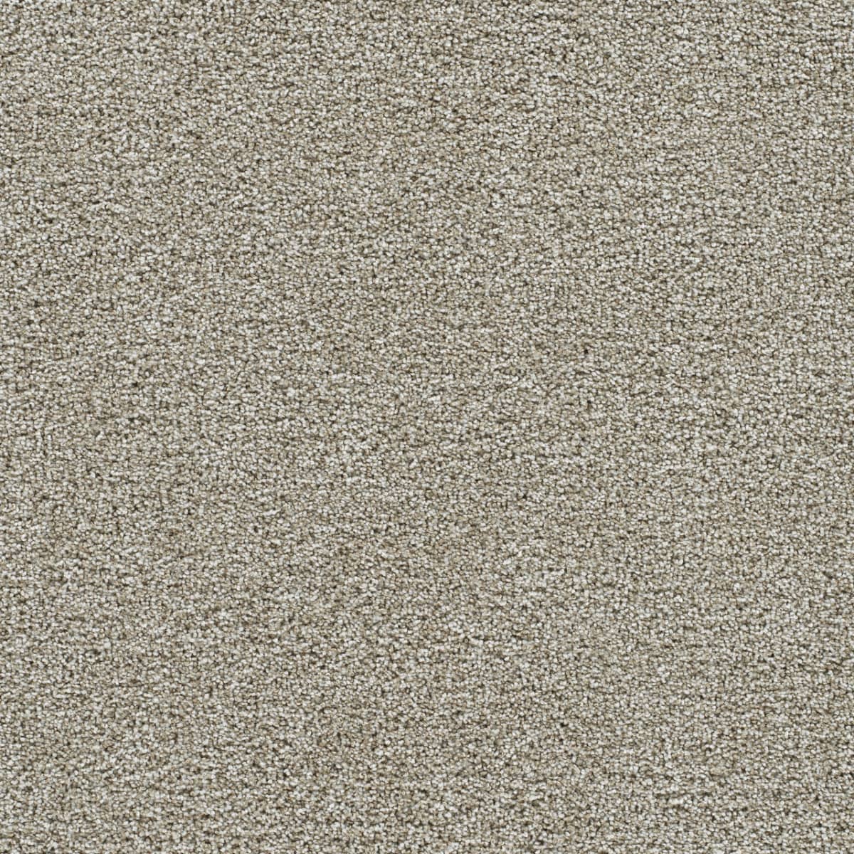 Gold Standard III Alloy