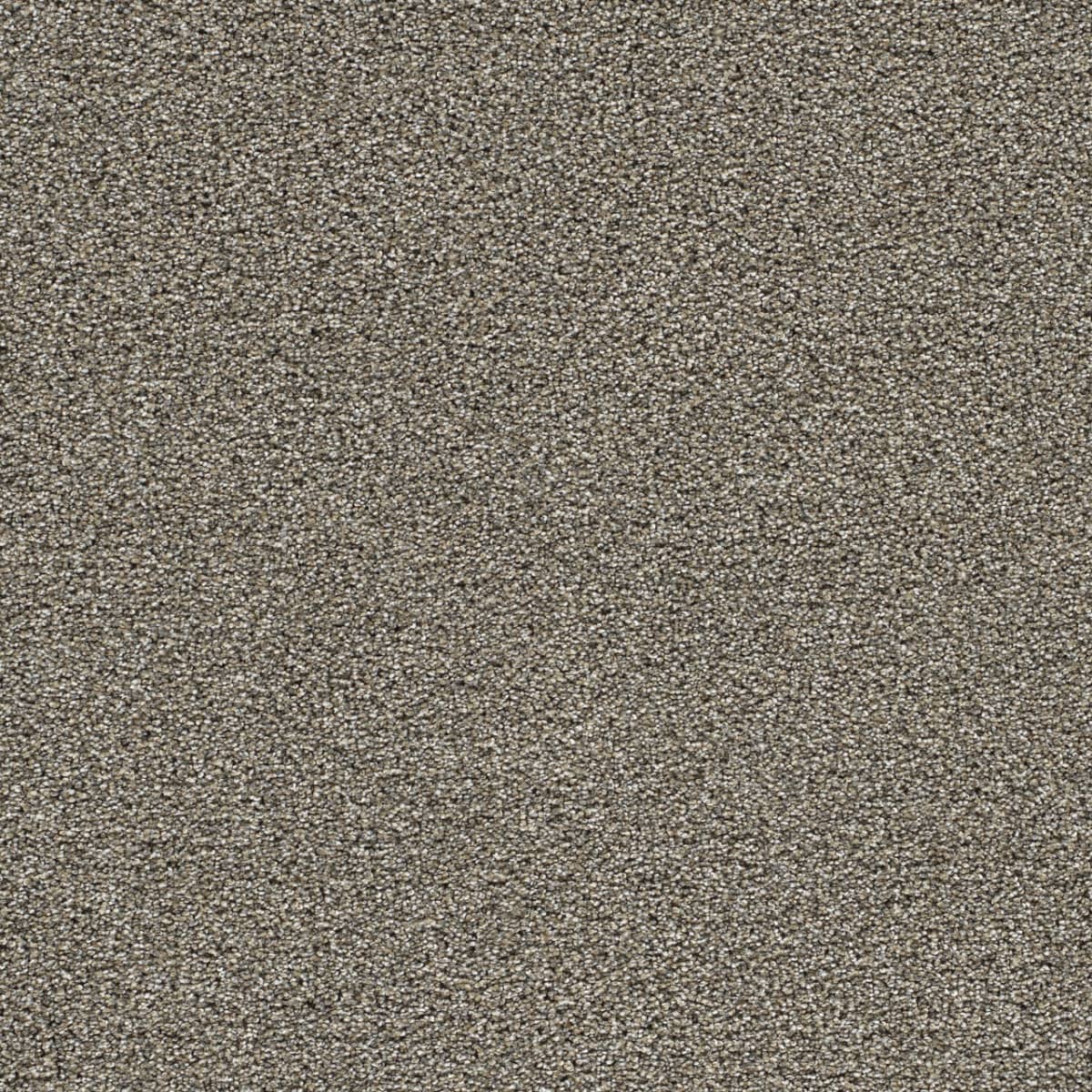 Gold Standard III Pewter