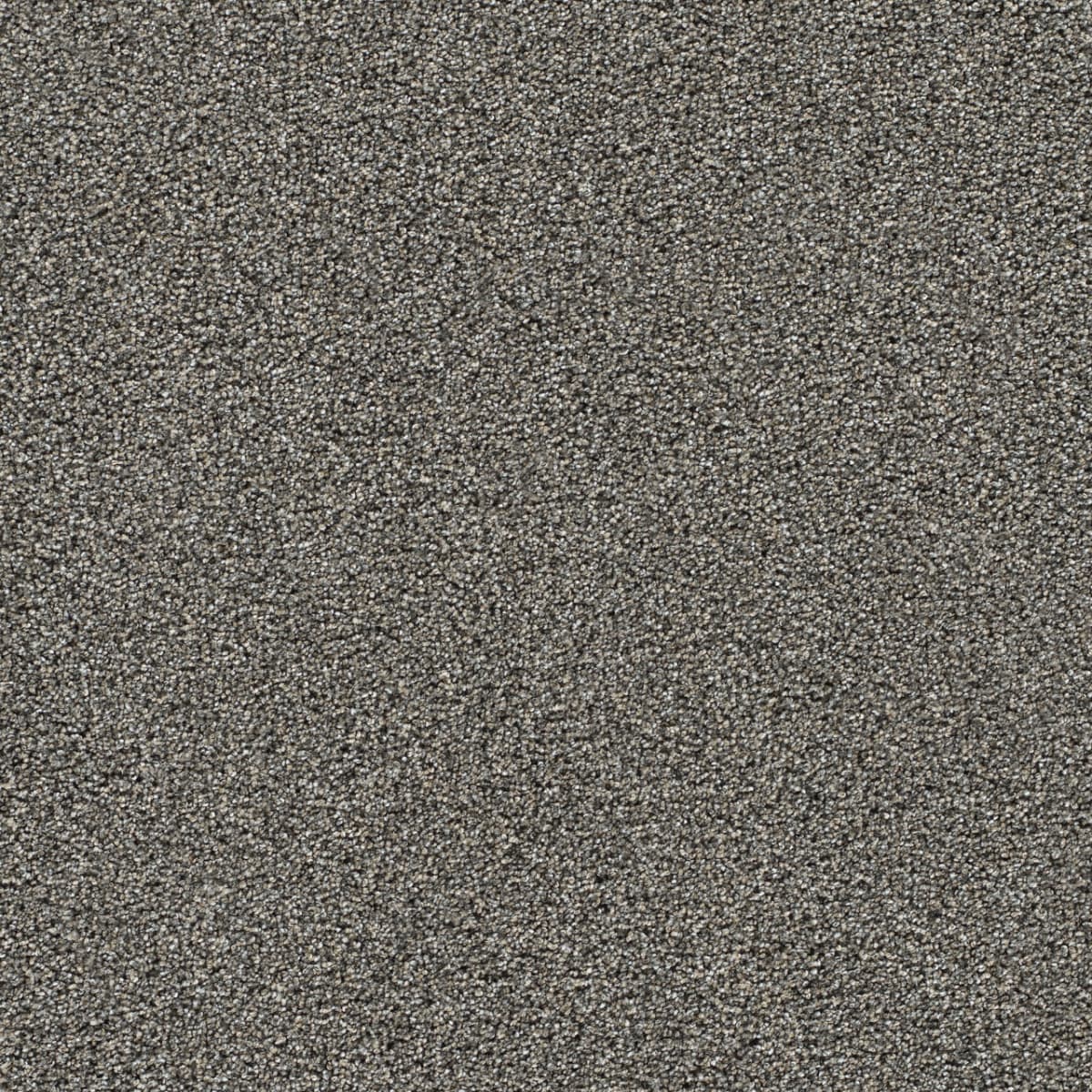Gold Standard III Graphite