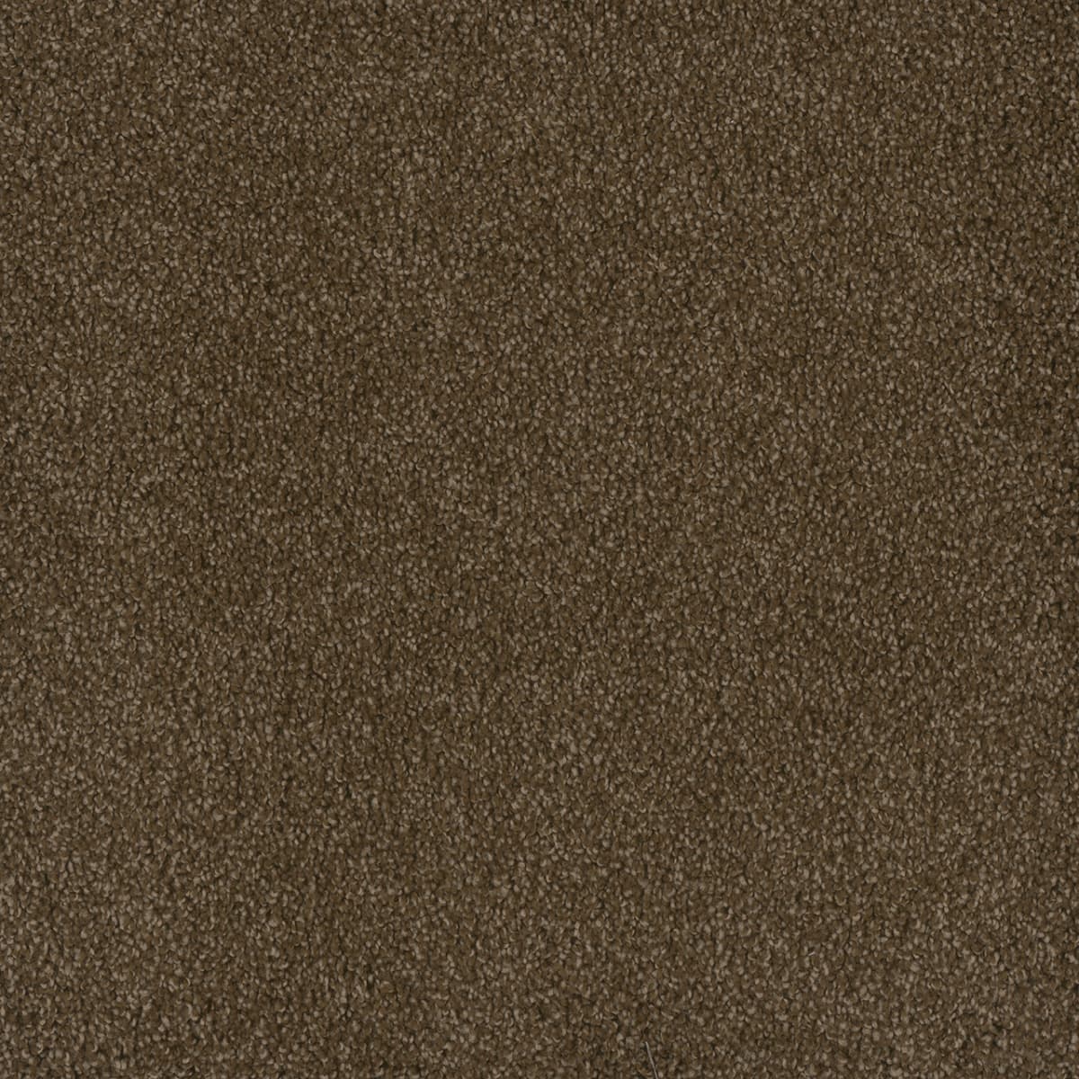 Hammond Creek II Black Walnut