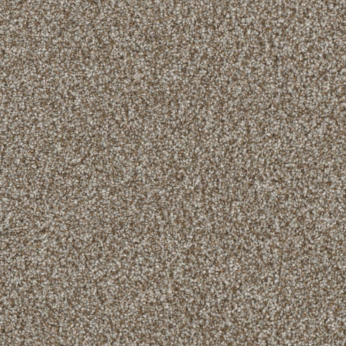 Jackson Hole II Gravel
