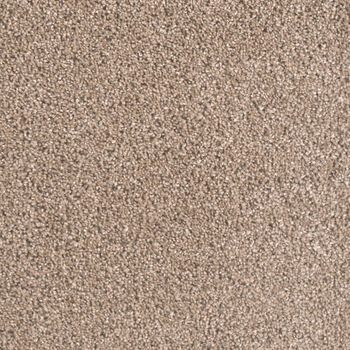 Metropolitan II Tumbleweed