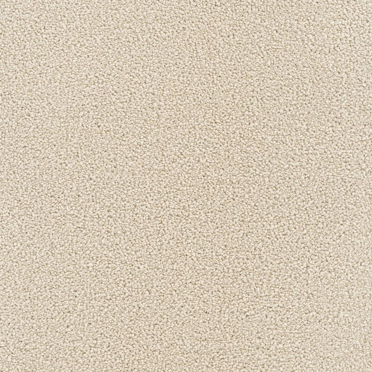 Montauk Ivory