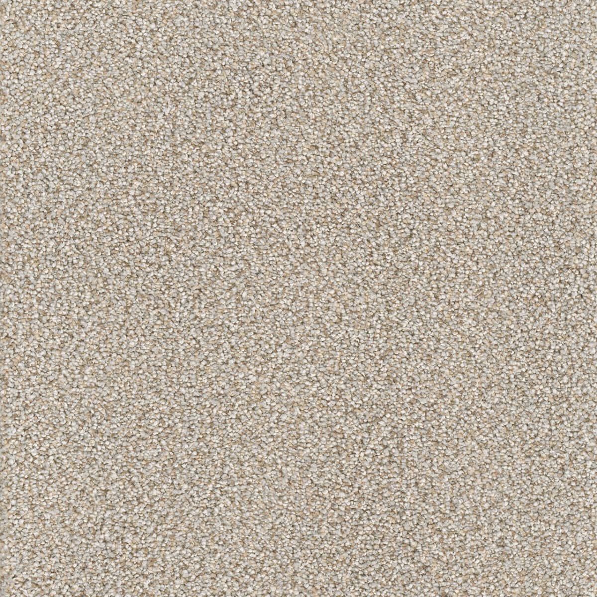 Montauk Iron Frost
