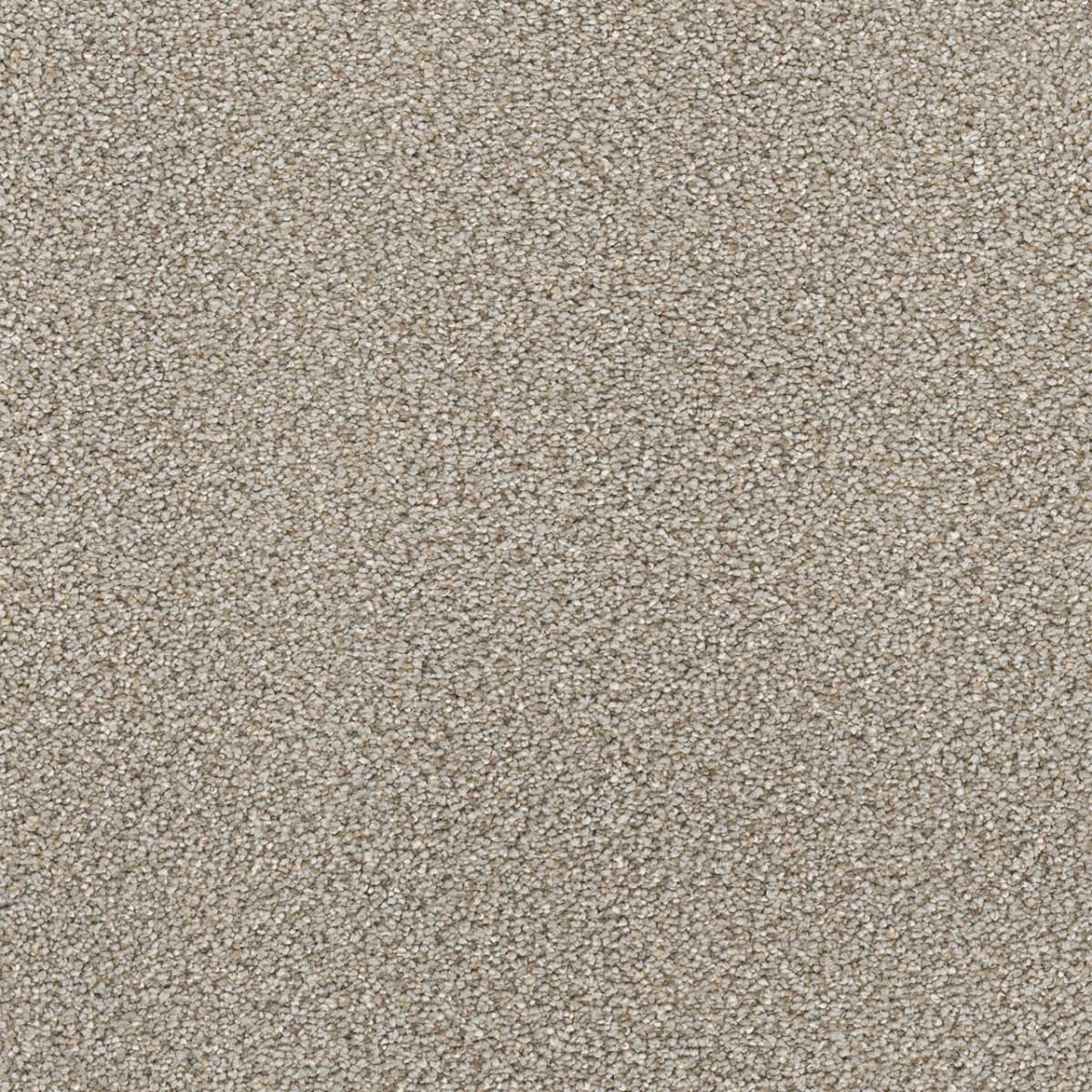 Montauk Ash