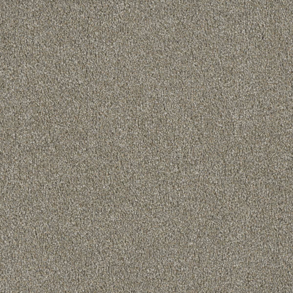 Luxor I Rhinestone