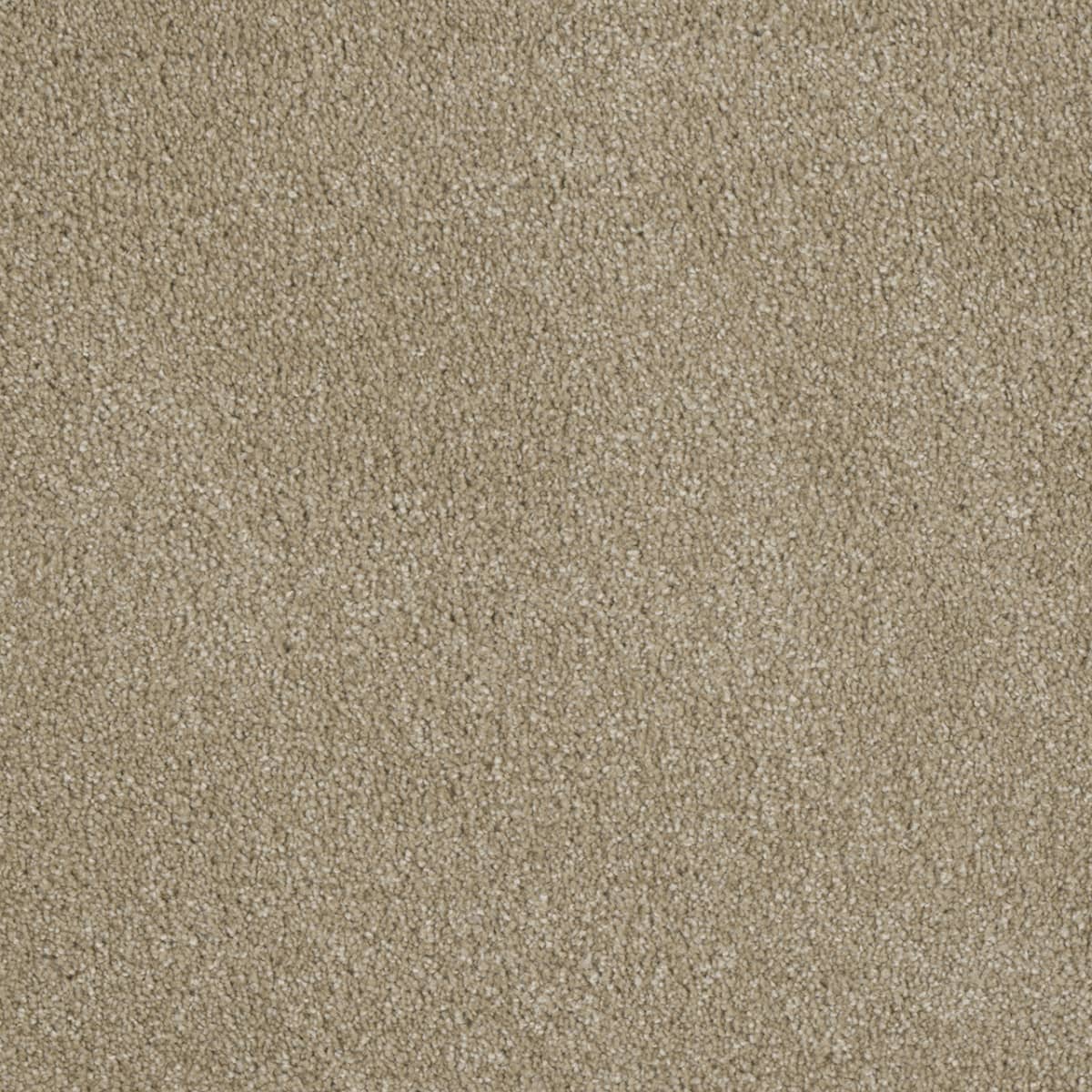 Luxor I Cashmere
