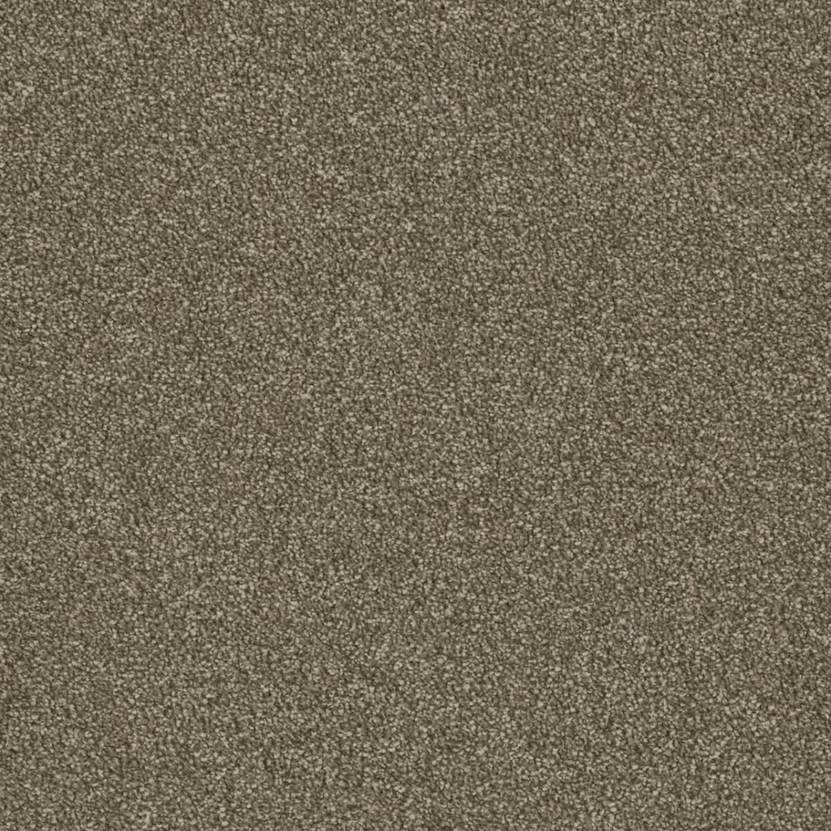 Luxor I Quail
