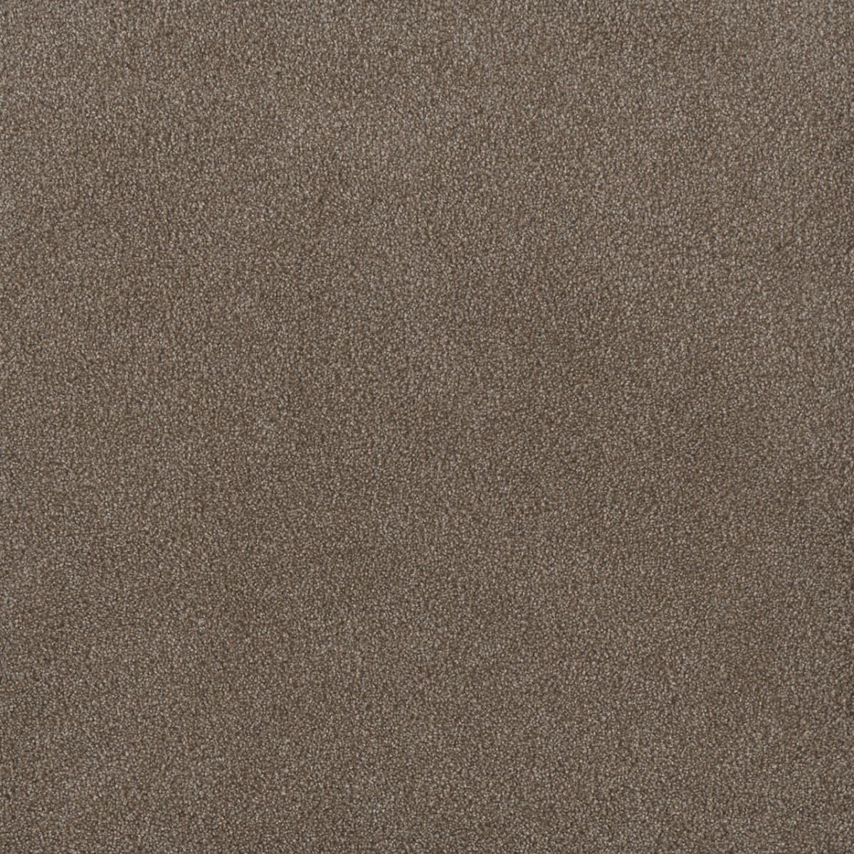 Palmetto I Eagle Crest