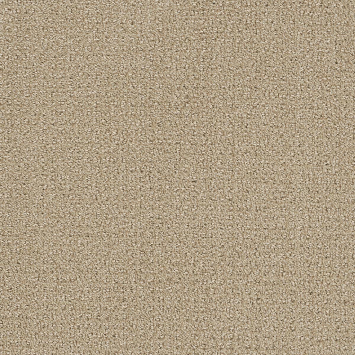 Pinpoint Soft Pine