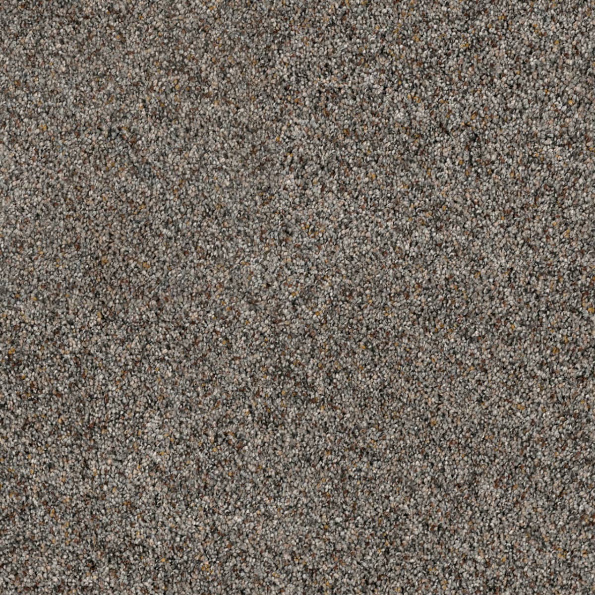 Parade Mountain View Parade flooring