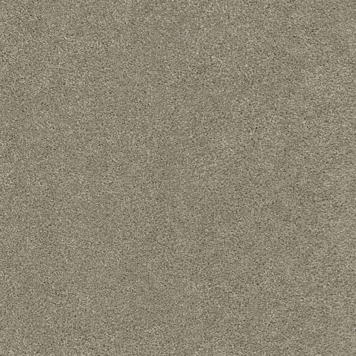 Rock Solid I Warm Teak