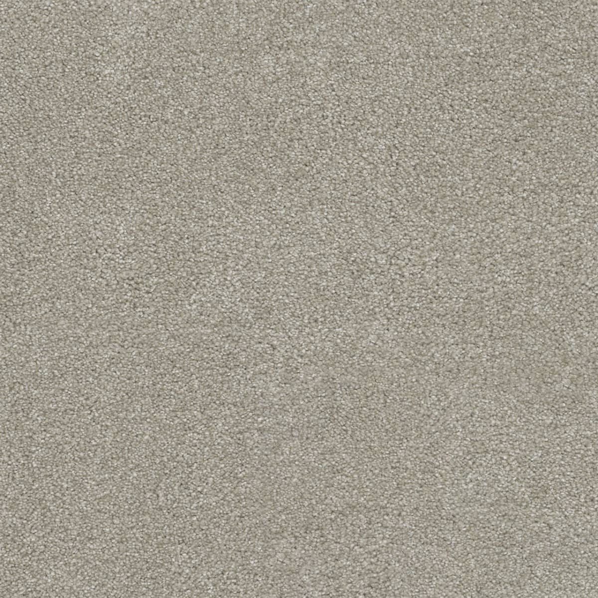 Rock Solid I Parchment Rock Solid I Carpet flooring
