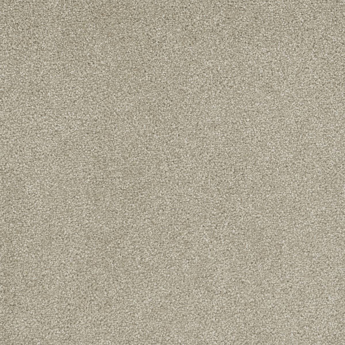 Rock Solid I Cream
