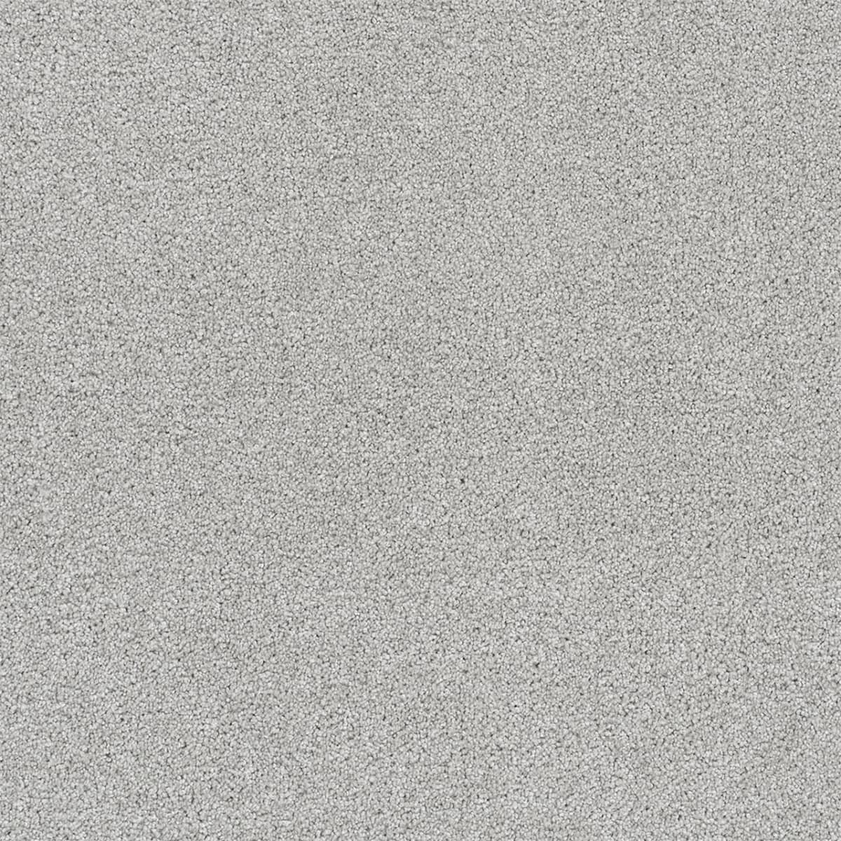 Rock Solid I Morning Dove