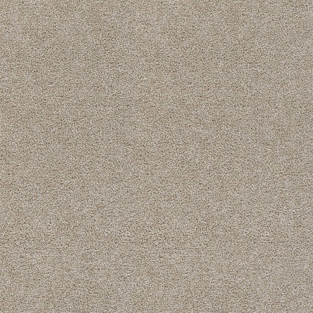Rock Solid I Beach Sand