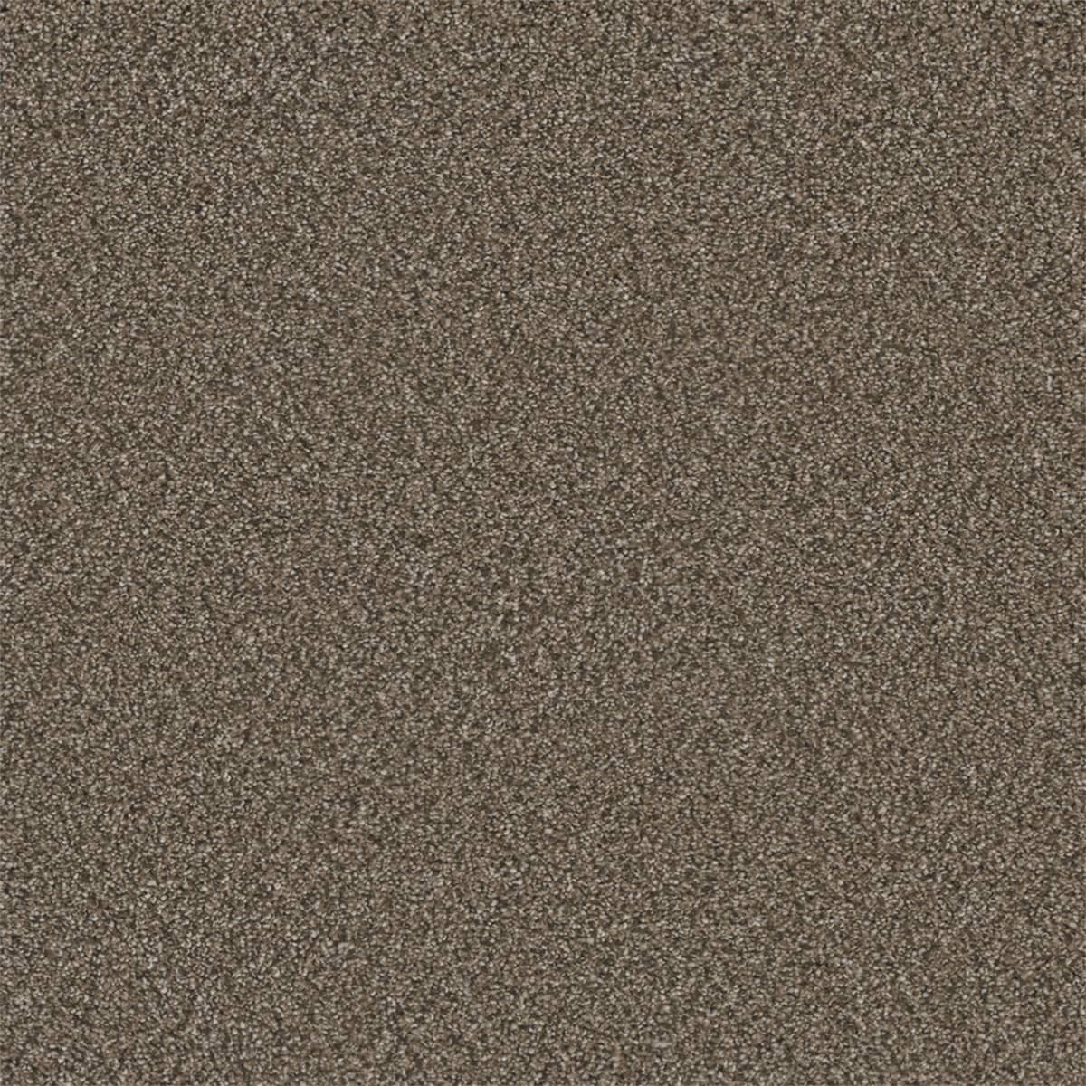 Royale II Fawn