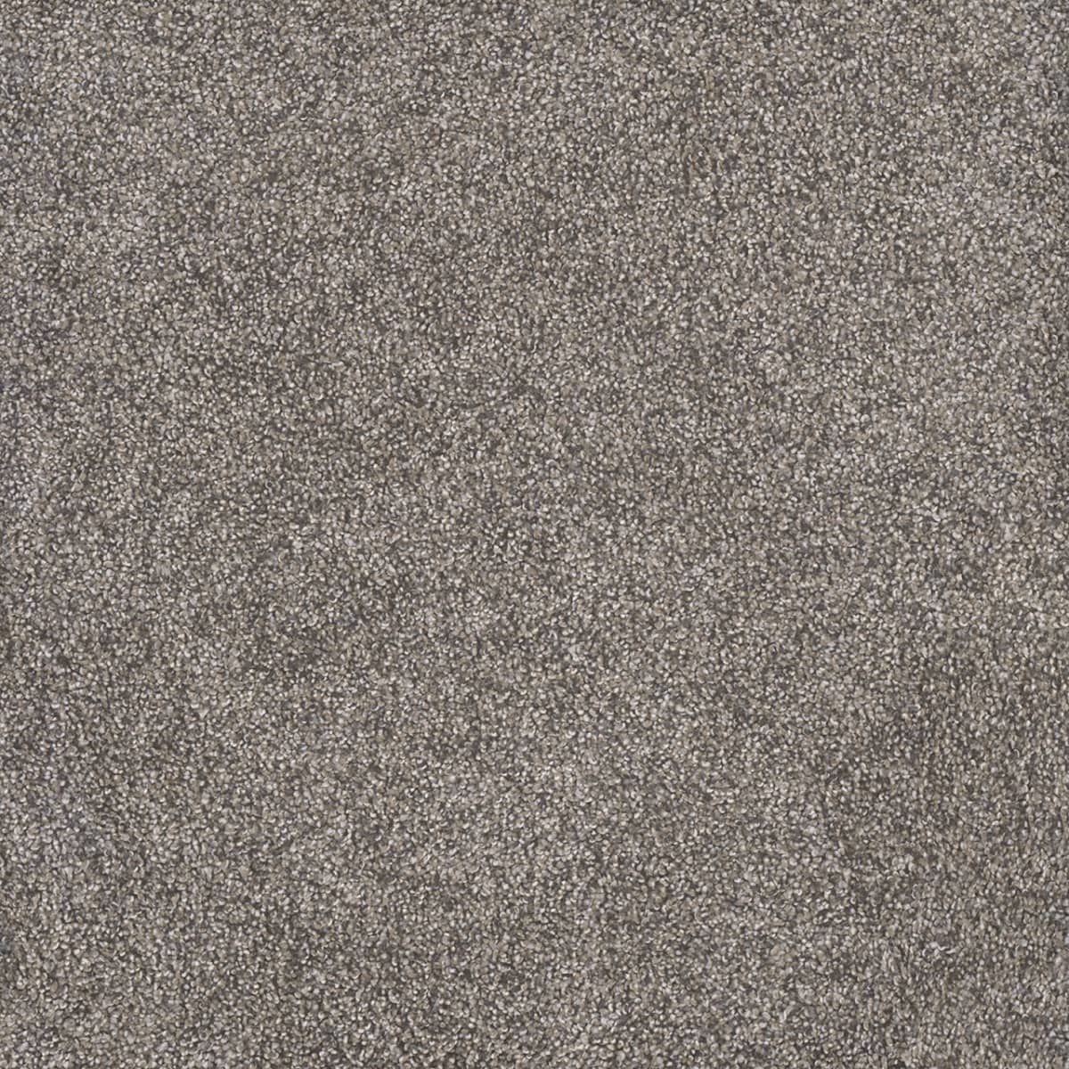 Rustic Retreat I Dried Sage