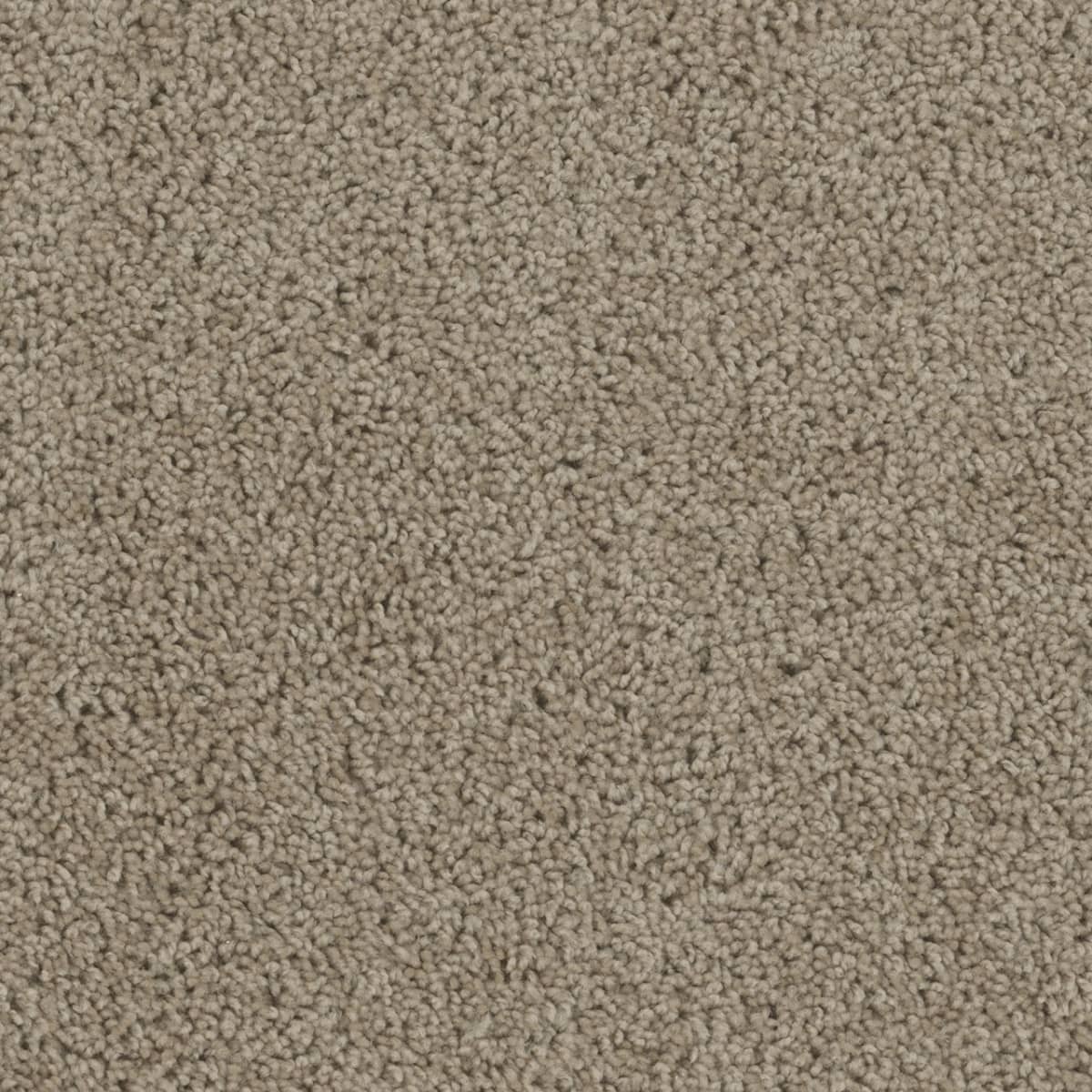 SP250 Sandstone