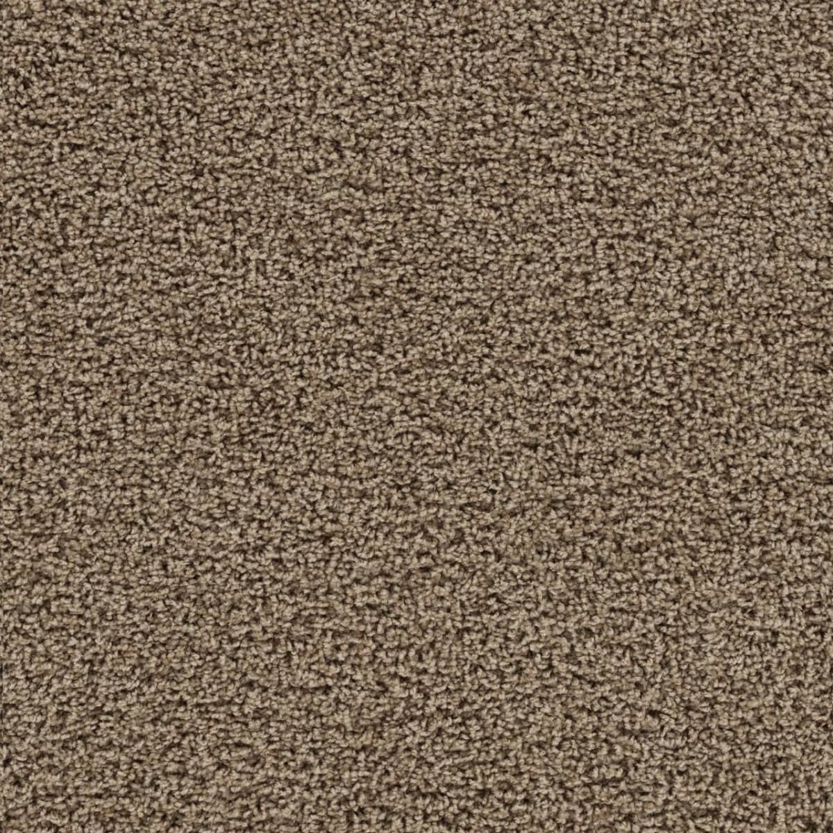 Tracker Honey Beige