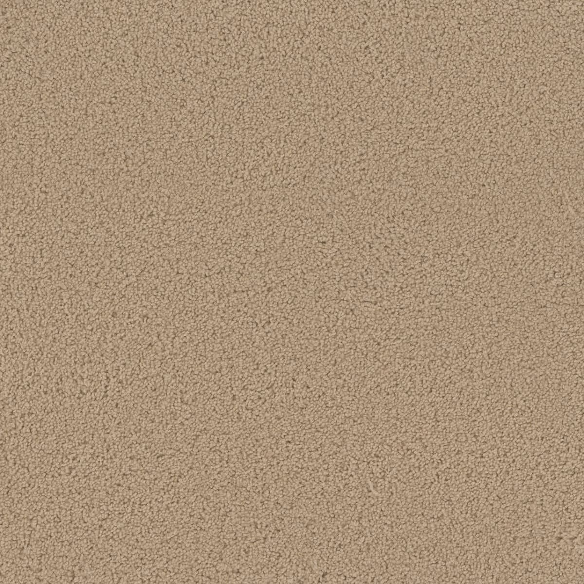 SP250 Cookie Dough SP250 Carpet flooring