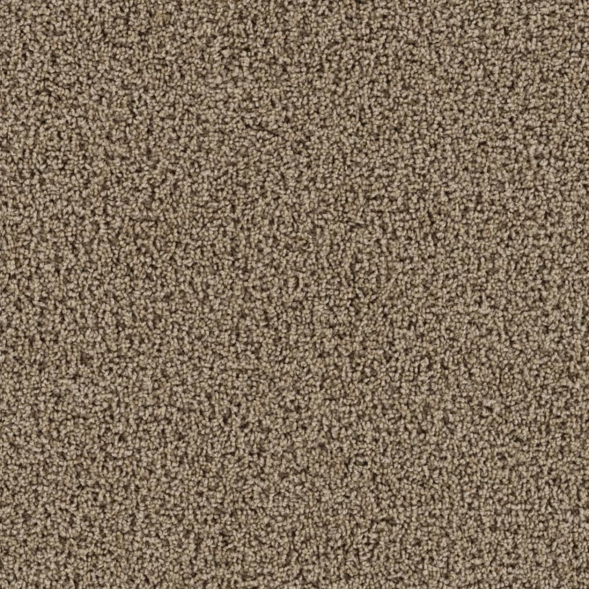 Tracker Sandstone