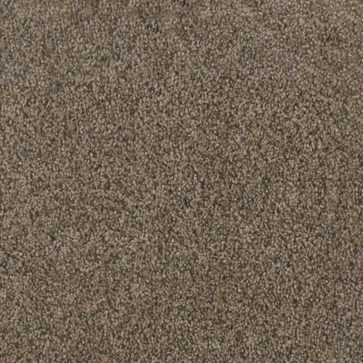 Trendsetter I Smokey Taupe