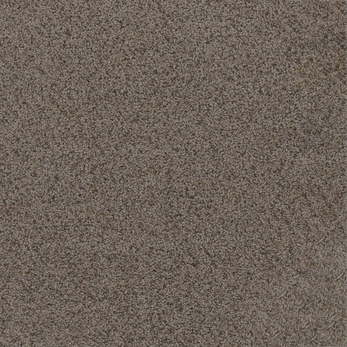 Toast of the Town Rugged Suede