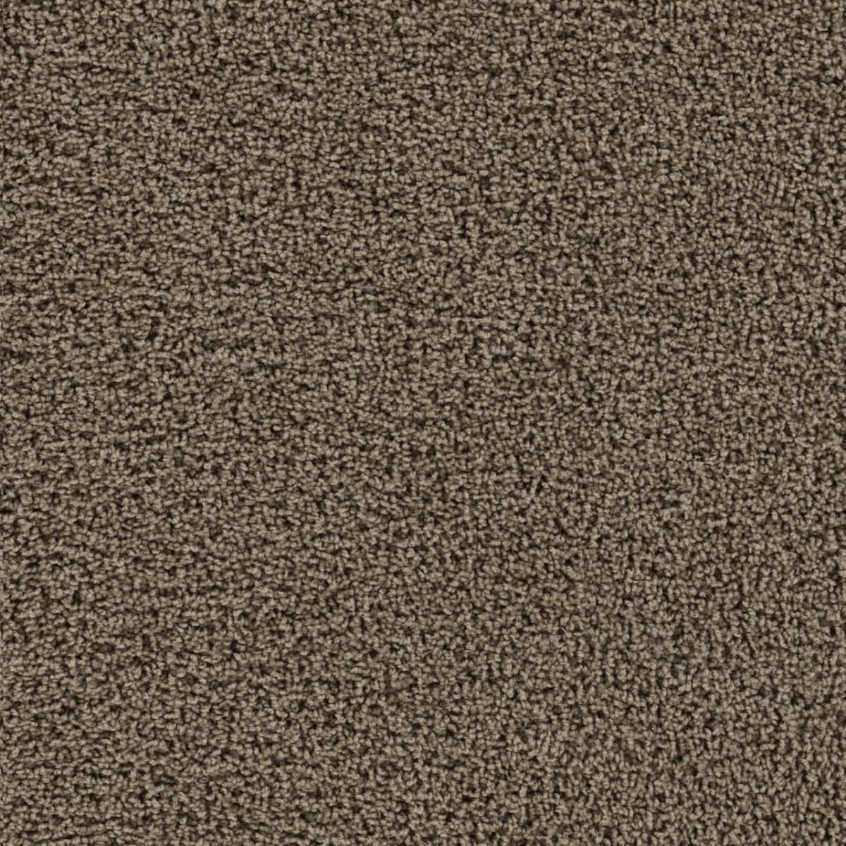 Tracker Taupe