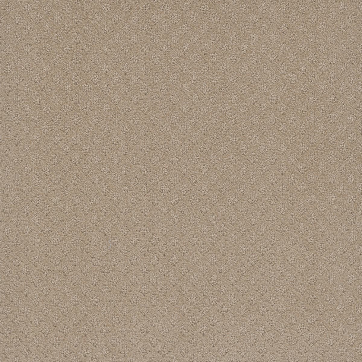 Stellar Soft Pine