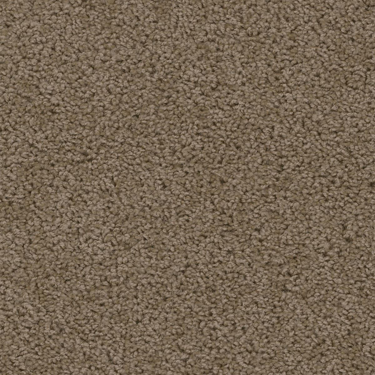 Sweepstakes Taupe