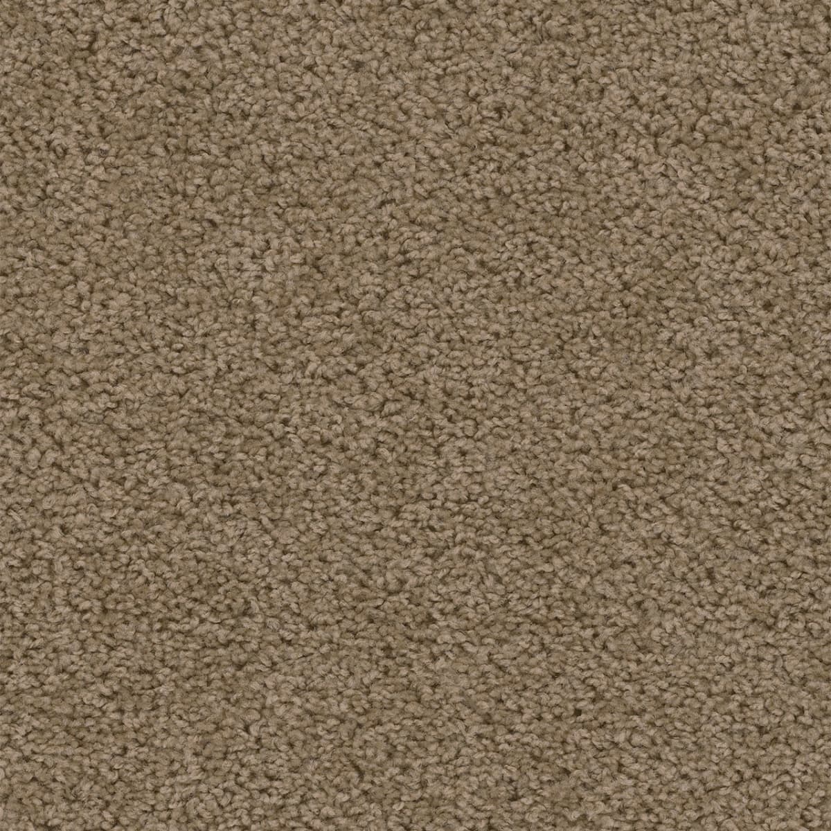 Sweepstakes Honey Beige